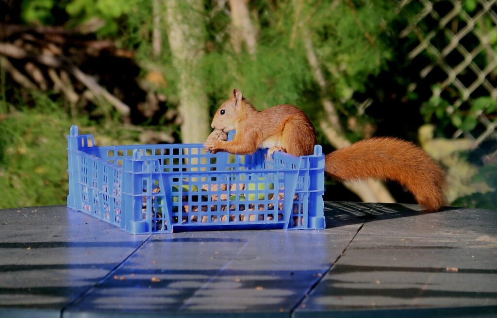 アウトドア婚活におけるキャンセル規定はどうなっているの？