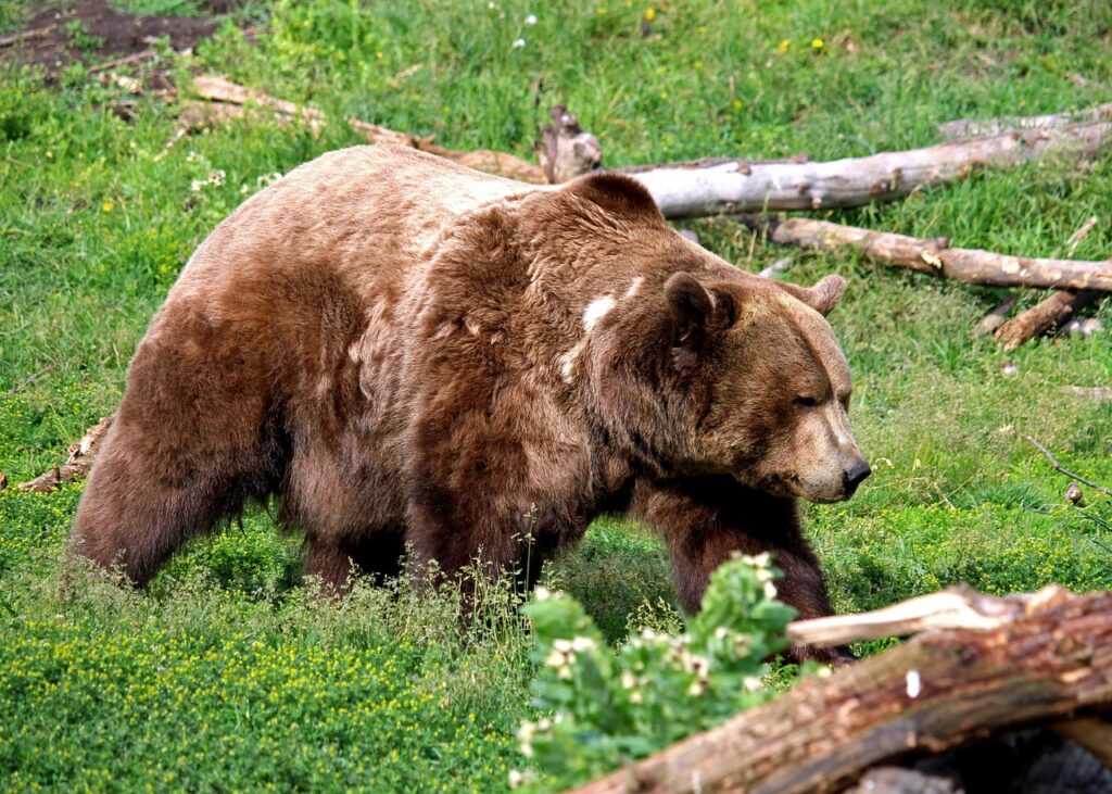 自然な出会いを求めるためのおすすめスポットは？