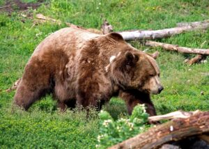 自然な出会いを求めるためのおすすめスポットは？