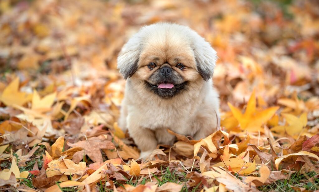 人見知りを克服するための効果的な方法は？