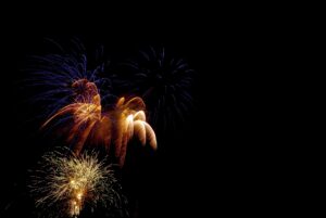 夜のイベントで楽しめる内容は？