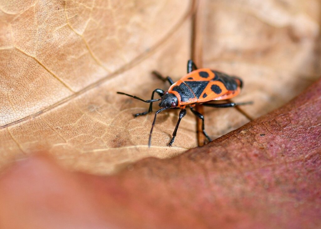 婚活に最適なアウトドアでの少人数制イベントとは？