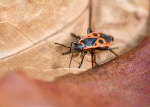 婚活に最適なアウトドアでの少人数制イベントとは？