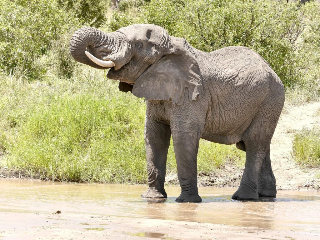 自然の中で特別な体験を通じて素敵な出会いを楽しむ方法は？