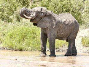 自然の中で特別な体験を通じて素敵な出会いを楽しむ方法は？